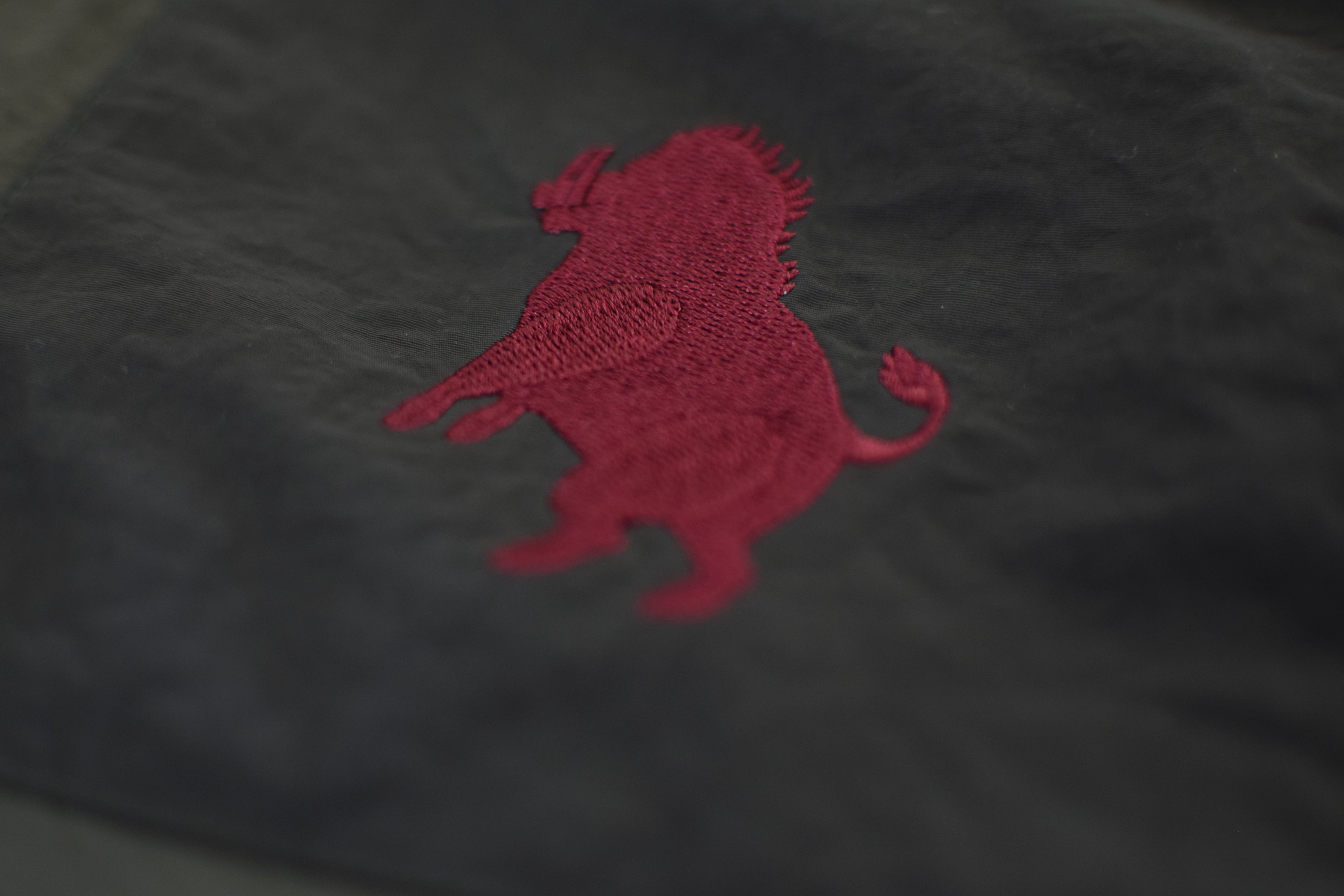 Crib Goch shorts - PREORDER